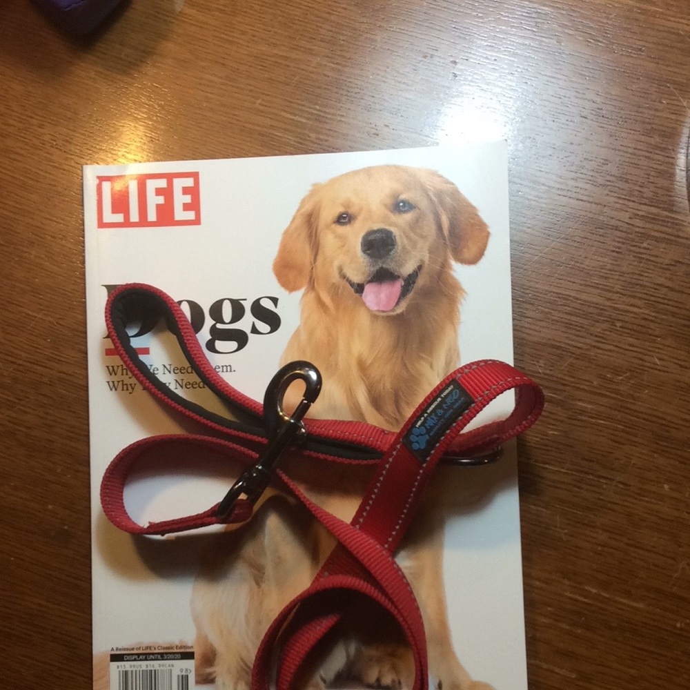 Dog leash Padded handle Max and Nemo Red